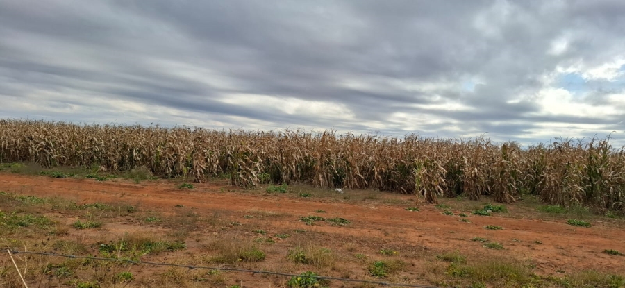 Commercial Property for Sale in Bloemfontein Rural Free State